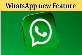 Etv BharatWhatsApp new Feature