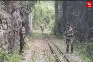 elephant entered into nilagris railways