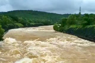 Belagavi brothers who drowned  drowned in the backwater of Tilari Dam died  Belagavi brothers died in dam  ಡ್ಯಾಂ​ನ ಹಿನ್ನೀರಿನಲ್ಲಿ ಮುಳುಗಿ ಬೆಳಗಾವಿ ಸಹೋದರರು ಸಾವು  ತಿಲಾರಿ ಡ್ಯಾಂ​ನ ಹಿನ್ನೀರಿನಲ್ಲಿ ಮುಳುಗಿ  ಮಹಾರಾಷ್ಟ್ರದ ತಿಲಾರಿ ಡ್ಯಾಂ  ಬೆಳಗಾವಿ ಮೂಲದ ಸಹೋದರರು ಮೃತ  ಮಹಾರಾಷ್ಟ್ರ ರಾಜ್ಯದ ಚಂದಗಡ ತಾಲೂಕಿನ ತಿಲಾರಿ ಡ್ಯಾಂ  ಕಾಲು ಜಾರಿ ನೀರಿನೊಳಗೆ ಬಿದ್ದ  ಸಹೋದರರು‌ ಮೃತಪಟ್ಟಿರುವ ದಾರುಣ ಘಟನೆ