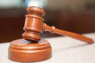 J&K court orders Army unit to face suit for felling trees