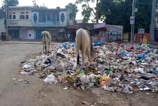 DFO denied permission for dumping garbage