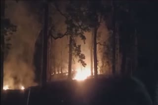 Jashpur Forest Fire