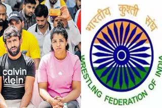 IOA to hold Wrestling Federation of India elections on July 4 wfi elections