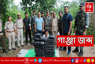 Ganja seized at Khakrajan in Karbi Anglong