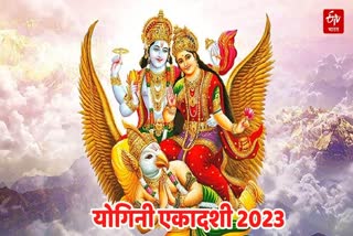 yogini ekadashi 2023 Harihar Yog Shiv Puja and Rudrabhishek