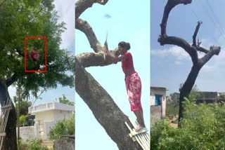 Woman cutting tree