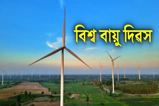 Global Wind Day 2023: Theme, Significance, History