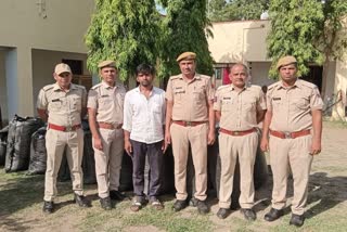 Chittorgarh police have seized doda sawdust,  police seized doda sawdust worth Rs 15 lakh