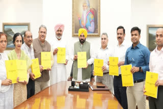 Chief Minister released 'Punjab Vision Document-2047'