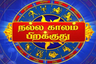 ரிஷப ராசி நேயர்களே இன்று பயணம் மேற்கொள்ளாதீர்!!