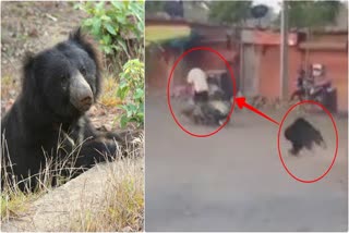 Bike rider narrowly escapes from the attack of a bear