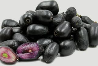 Black Plums Benefits