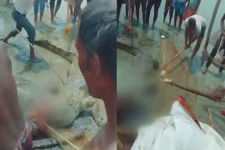 Crocodile beaten to death in revenge for boy demise at Bihar  മുതല  ബിഹാറിൽ കുട്ടിയെ മുതല പിടികൂടി  ഗംഗ നദിയിൽ കുളിക്കാനിറങ്ങിയ കുട്ടിയെ മുതല കൊന്നു  Crocodile beaten to death at Bihars Vaishali  crocodile kills young boy in bihar  Crocodile  Crocodile Bihar