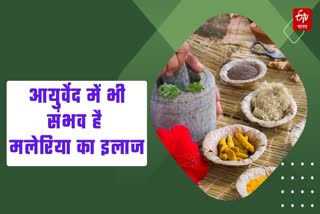 Treatment of malaria and other vector borne diseases is also possible in Ayurveda