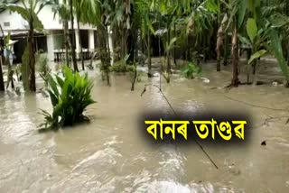 Flood In Lakhimpur