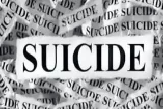 married couple suicide Case