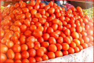 Tomato Price