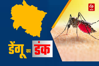 Dengue in Uttarakhand