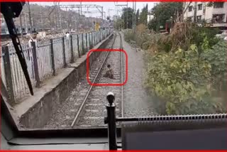 Young Man On Railway Track