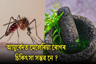 Treatment of malaria and other vector borne diseases is also possible in Ayurveda