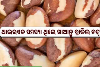 Brazil Nuts