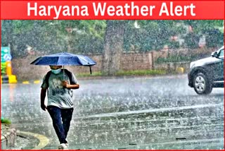 Biparjoy cyclone affect Haryana