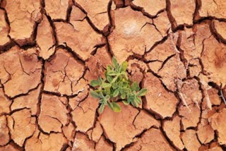 Combat Desertification and Drought 2023