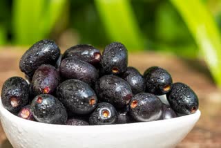 Eat Jamun For Health News