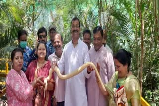 Python hugging woman neck in Indore Zoo