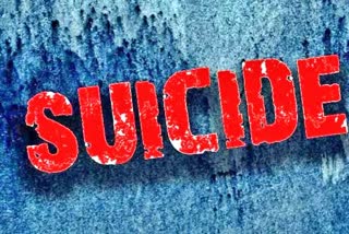 suicide case in shimla