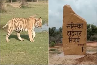 Sariska Tiger Reserve