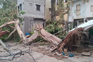 Gujarat Cyclone Biparjoy Landfall