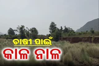 ନାଳ ଗର୍ଭରେ ଲୀନ ହେଉଛି ଚାଷଜମି