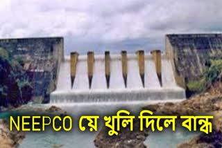 Kopili Hydro Electric Project
