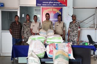 Jagdalpur police seized illegal ganja