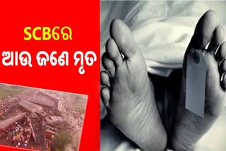 ବାହାନଗା ଟ୍ରେନ ଦୁର୍ଘଟଣା