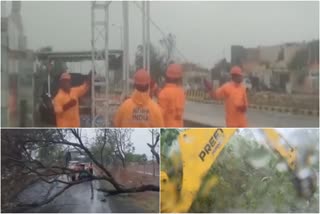 ndrf Personnel conduct road clearance operation in gujarat