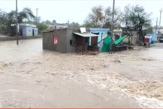 Cyclone biparjoy landfall impact trees uprooted from various places in Gujarat