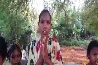 No School For Adivasi Childrens