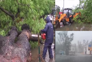 biporjoy-cyclone-news-update-and-biporjoy-cyclone-effect-in-gujarat