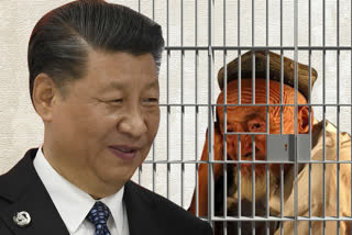 Leak about China's detention centres