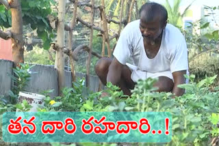 farmer growing vegetable on road dividers space in kurnool