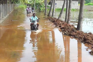 People Gave petition to collector for the clearance of rain water