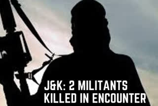 Jammu and Kashmir: 2 militants killed in encounter with security forces in Pulwama