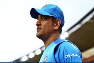 MS Dhoni news