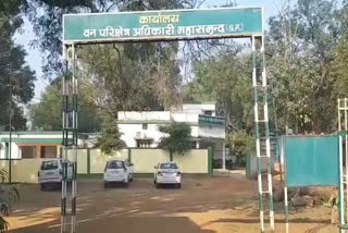 Forest department