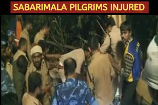 Eleven Sabarimala pilgrims injured in Kerala