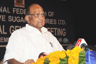 sharad pawar knockout punch  to BJP