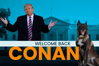 Conan getting hero’s welcome at White House after raid, on Monday.