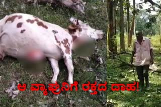 Tiger attack cases made huge problem at Kodagu